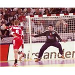 Håndballmål EHF godkjent
